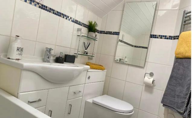 Cotswolds Lakeside Lodge - Nesbitt'S Nest South Cerney Bagian luar foto